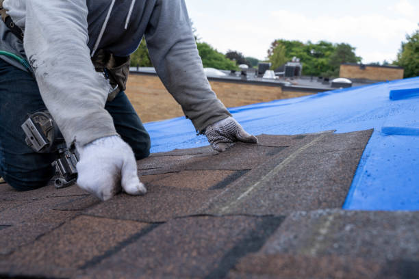 Best Roof Gutter Cleaning  in Auburn, GA